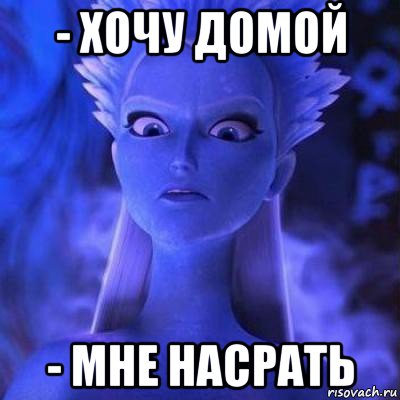 - хочу домой - мне насрать
