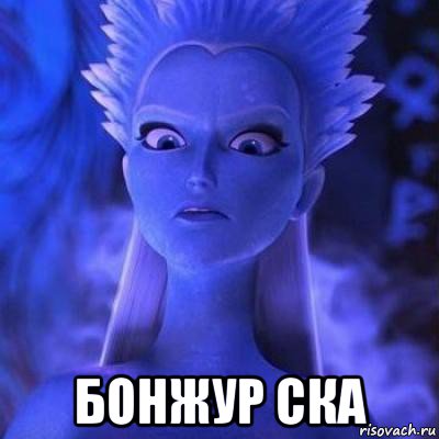  бонжур ска