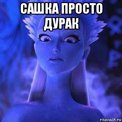 сашка просто дурак 