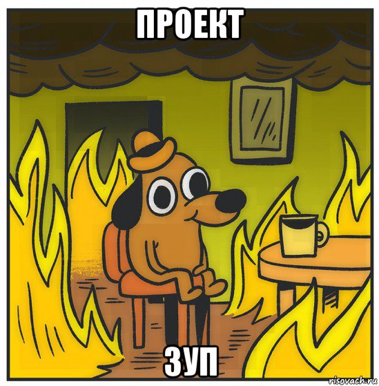 проект зуп