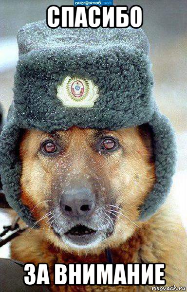 спасибо за внимание