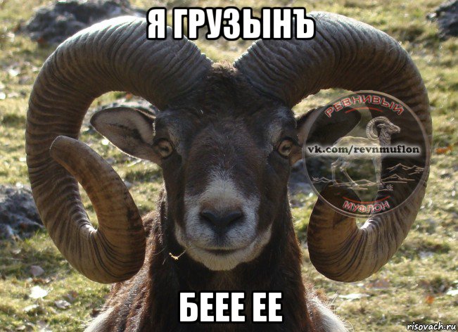 я грузынъ беее ее