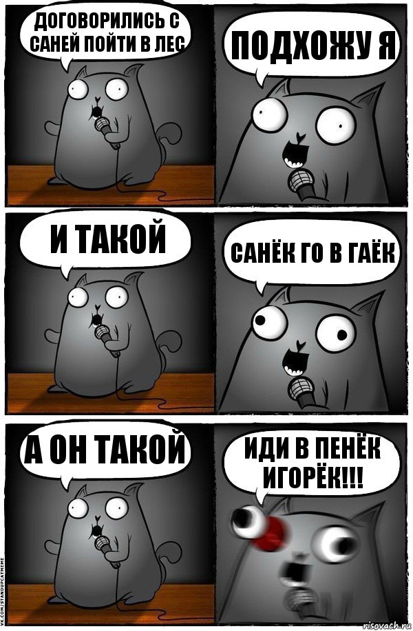 Договорились с Саней пойти в лес Подхожу я И такой санЁК го в гаёк А он такой ИДИ В ПЕНЁК ИГОРЁК!!!, Комикс  Стендап-кот