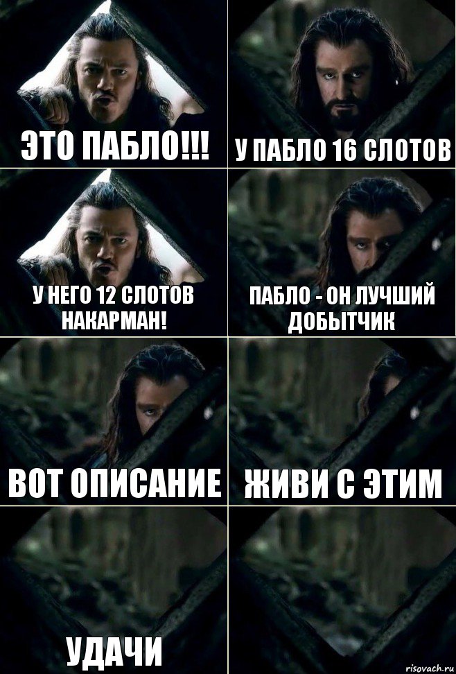 это Пабло!!! у пабло 16 слотов у него 12 слотов накарман! Пабло - он лучший добытчик вот описание живи с этим удачи 