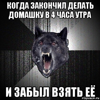 когда закончил делать домашку в 4 часа утра и забыл взять её, Мем Сумасшедший волк