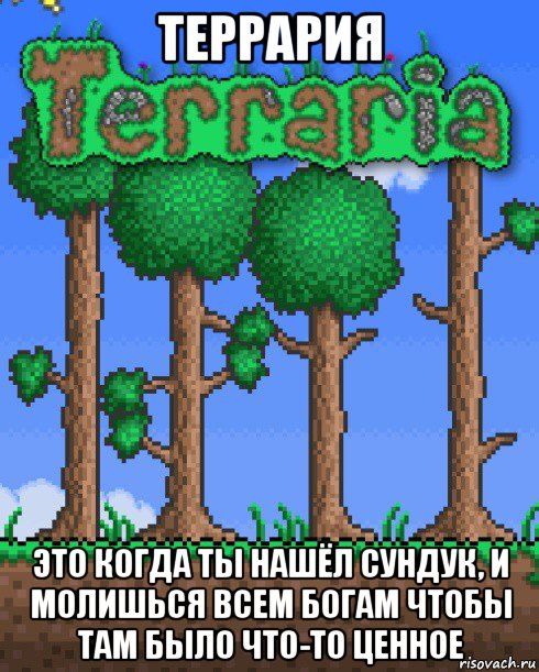 террария это когда ты нашёл сундук, и молишься всем богам чтобы там было что-то ценное