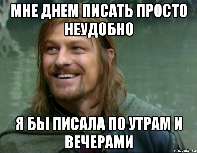 мне днем писать просто неудобно я бы писала по утрам и вечерами, Мем Тролль Боромир