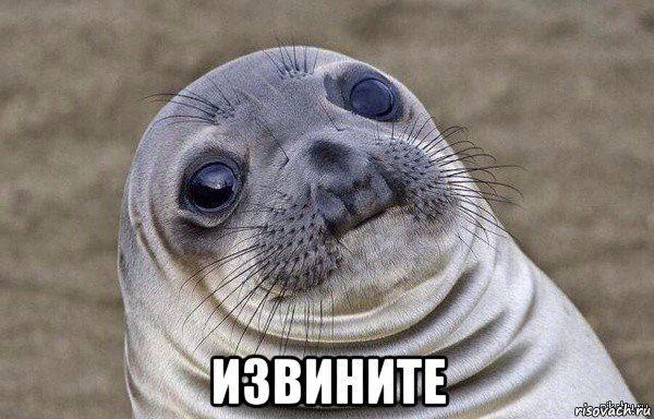  извините