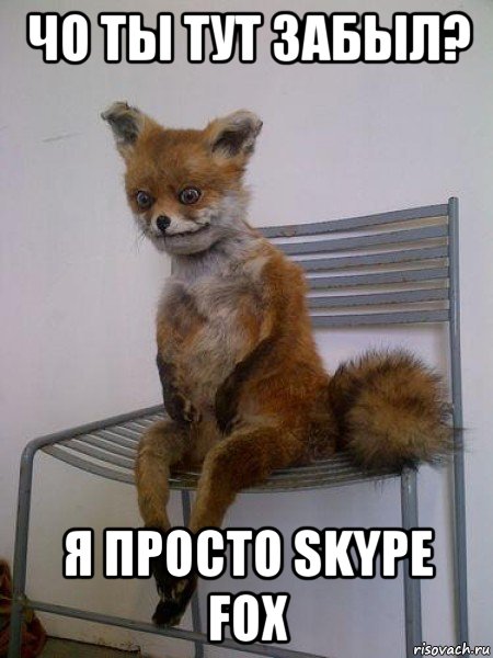 чо ты тут забыл? я просто skype fox