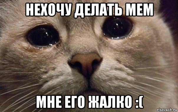 нехочу делать мем мне его жалко :(, Мем   В мире грустит один котик