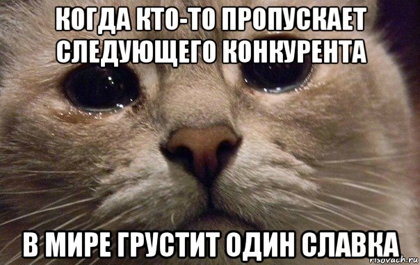 когда кто-то пропускает следующего конкурента в мире грустит один славка, Мем   В мире грустит один котик