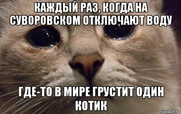 каждый раз, когда на суворовском отключают воду где-то в мире грустит один котик, Мем   В мире грустит один котик