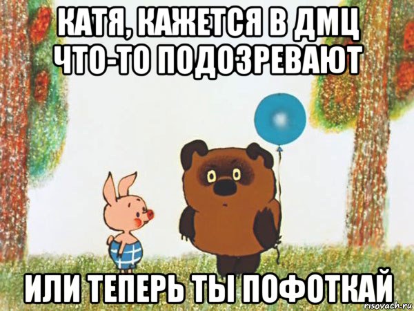 катя, кажется в дмц что-то подозревают или теперь ты пофоткай, Мем Винни-Пух