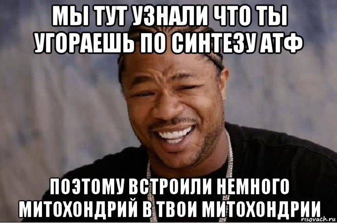 мы тут узнали что ты угораешь по синтезу атф поэтому встроили немного митохондрий в твои митохондрии, Мем xzibit