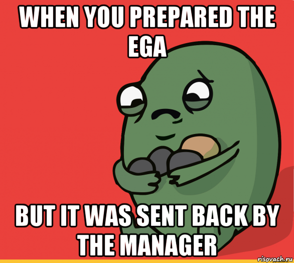 when you prepared the ega but it was sent back by the manager, Мем  Я сделяль
