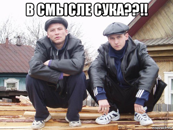 в смысле сука??!! 