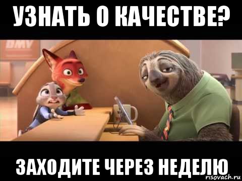 узнать о качестве? заходите через неделю