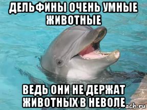 дельфины очень умные животные ведь они не держат животных в неволе