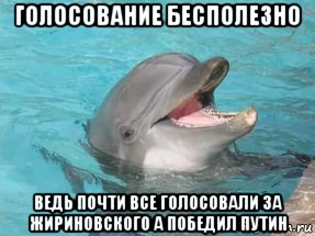 голосование бесполезно ведь почти все голосовали за жириновского а победил путин