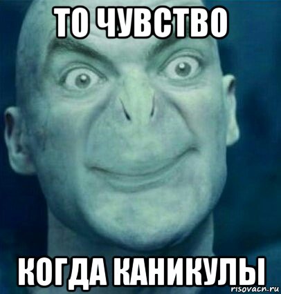 то чувство когда каникулы