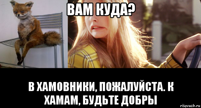 вам куда? в хамовники, пожалуйста. к хамам, будьте добры