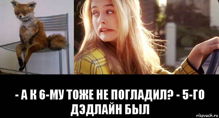  - а к 6-му тоже не погладил? - 5-го дэдлайн был