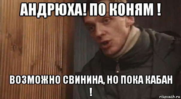 андрюха! по коням ! возможно свинина, но пока кабан !