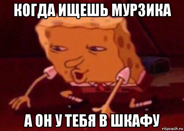 когда ищешь мурзика а он у тебя в шкафу, Мем    Bettingmemes