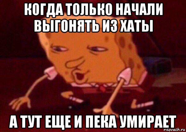 когда только начали выгонять из хаты а тут еще и пека умирает, Мем    Bettingmemes