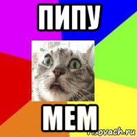 пипу мем