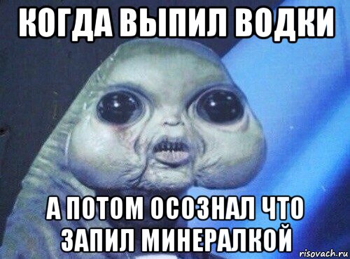 когда выпил водки а потом осознал что запил минералкой, Мем ДАТЫЧО