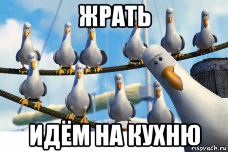 жрать идём на кухню, Мем Дай чайки немо