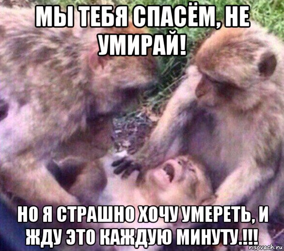мы тебя спасём, не умирай! но я страшно хочу умереть, и жду это каждую минуту.!!!