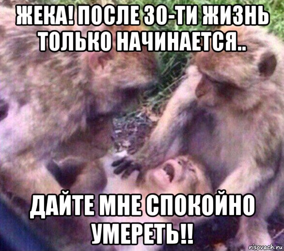 жека! после 30-ти жизнь только начинается.. дайте мне спокойно умереть!!