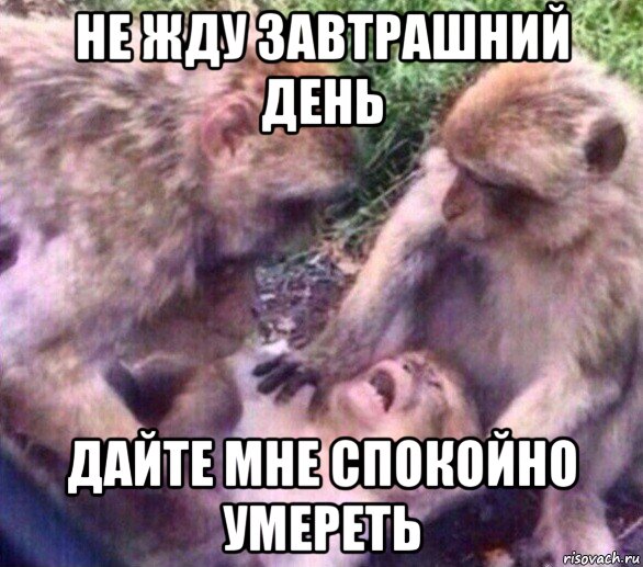 не жду завтрашний день дайте мне спокойно умереть