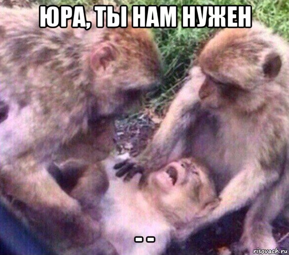 юра, ты нам нужен - -