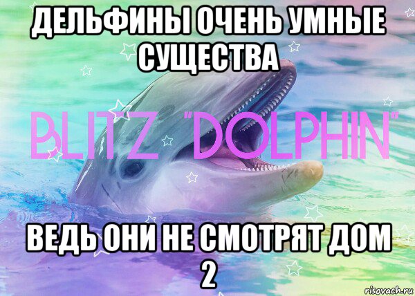 дельфины очень умные существа ведь они не смотрят дом 2
