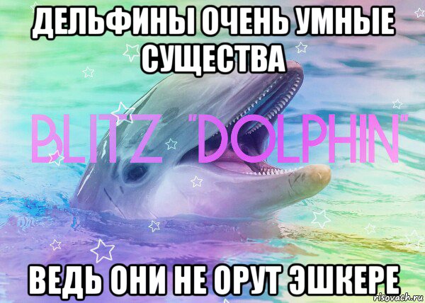 дельфины очень умные существа ведь они не орут эшкере