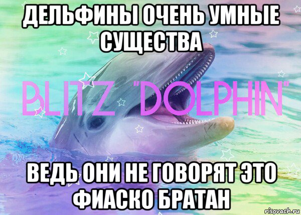 дельфины очень умные существа ведь они не говорят это фиаско братан