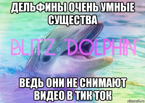 дельфины очень умные существа ведь они не снимают видео в тик ток