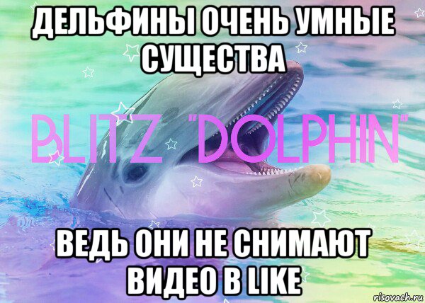 дельфины очень умные существа ведь они не снимают видео в like
