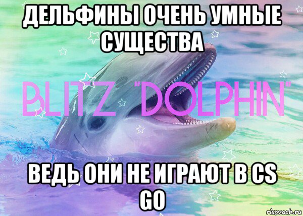 дельфины очень умные существа ведь они не играют в cs go