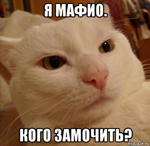 я мафио. кого замочить?