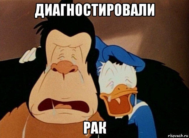диагностировали рак, Мем Дональд плачет с гориллой