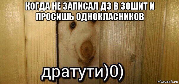 когда не записал дз в зошит и просишь однокласников , Мем  Дратути