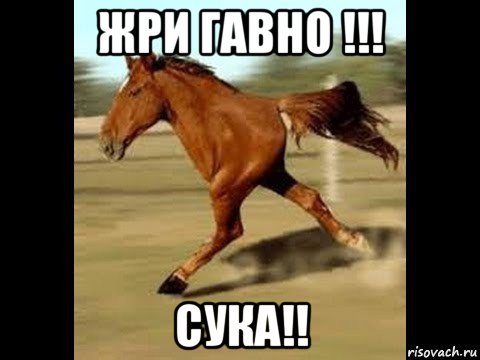 жри гавно !!! сука!!, Мем Двуногий конь