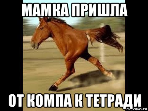 мамка пришла от компа к тетради, Мем Двуногий конь