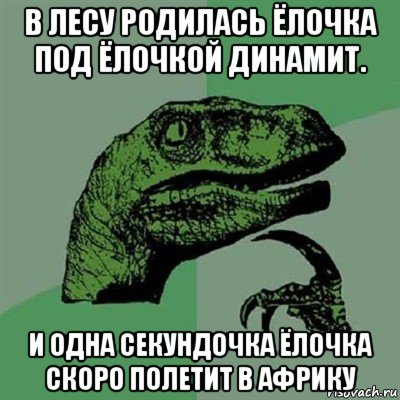 в лесу родилась ёлочка под ёлочкой динамит. и одна секундочка ёлочка скоро полетит в африку, Мем Филосораптор