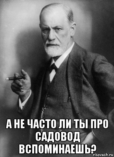  а не часто ли ты про садовод вспоминаешь?, Мем    Фрейд