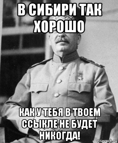 в сибири так хорошо как у тебя в твоем ссыкле не будет никогда!, Мем   Сталин в фуражке